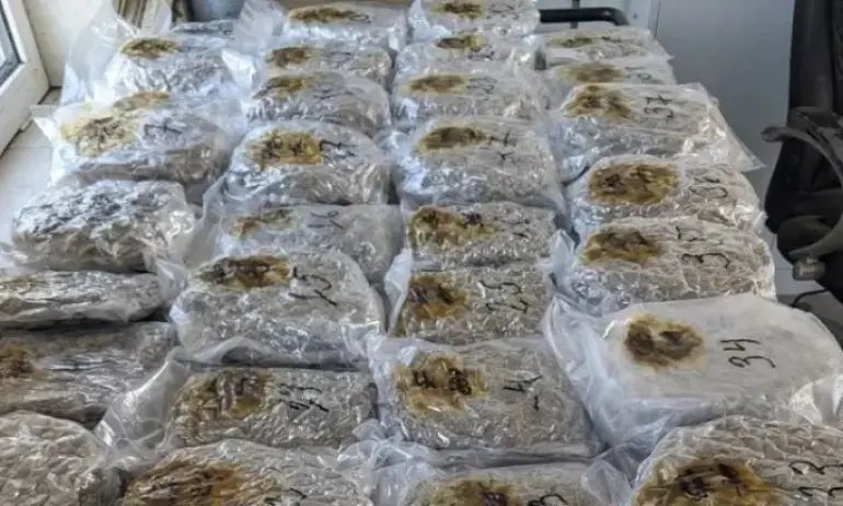 Намериха близо 19 кг марихуана, скрити в газови бутилки - Tribune.bg