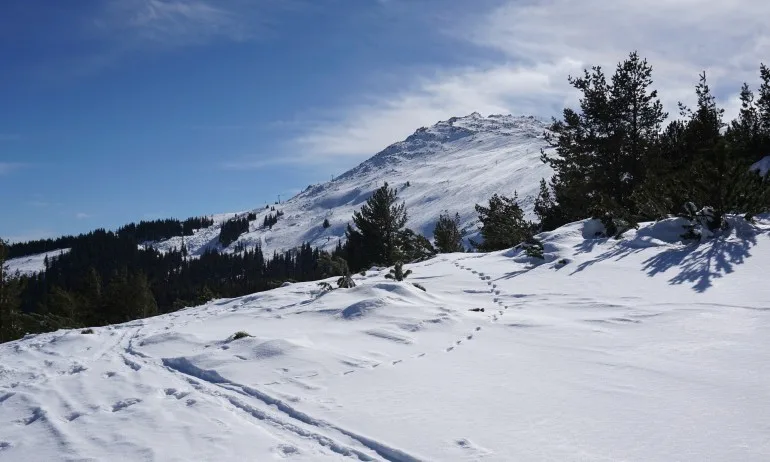 Столична община в подкрепа на кандидатурата за младежка олимпиада на Витоша - Tribune.bg