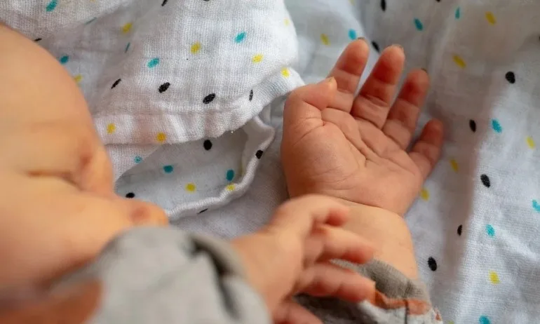 Отбелязваме Бабинден - Tribune.bg