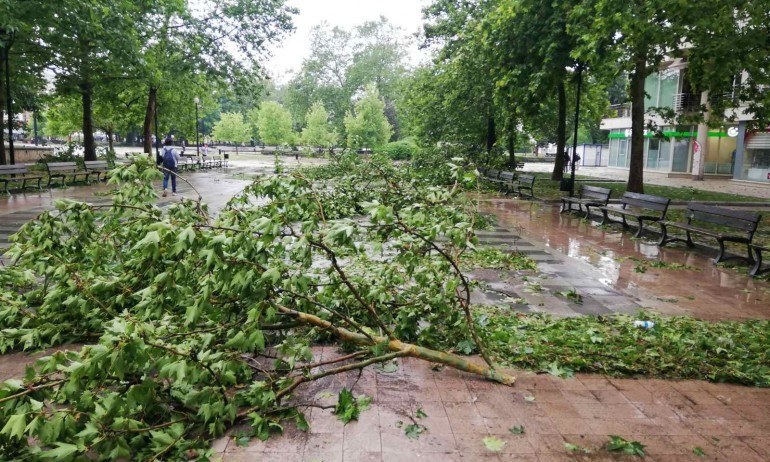 260 сигнала за щети от бурята в Русе, разчистването продължава - Tribune.bg