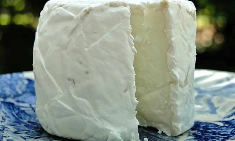 БАБХ изтегля козе сирене от Нидерландия и български био сусамов тахан - Tribune.bg