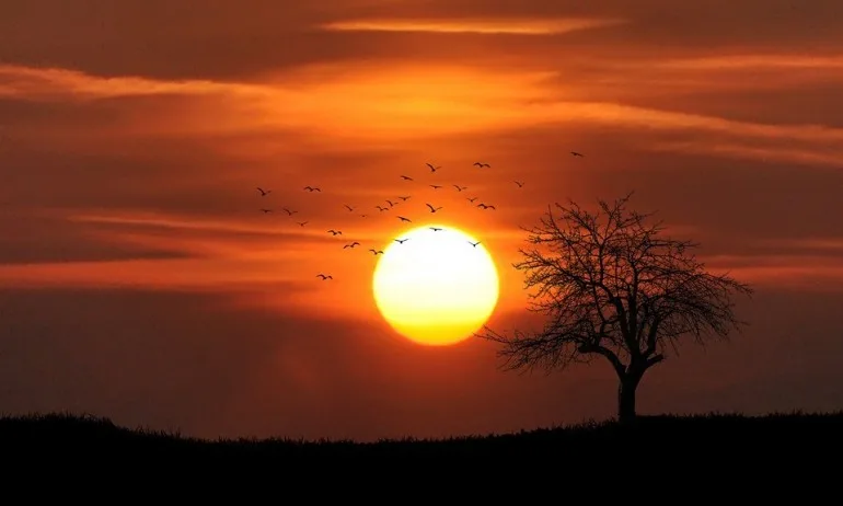 ООН: Юли е бил най-горещият месец в историята - Tribune.bg