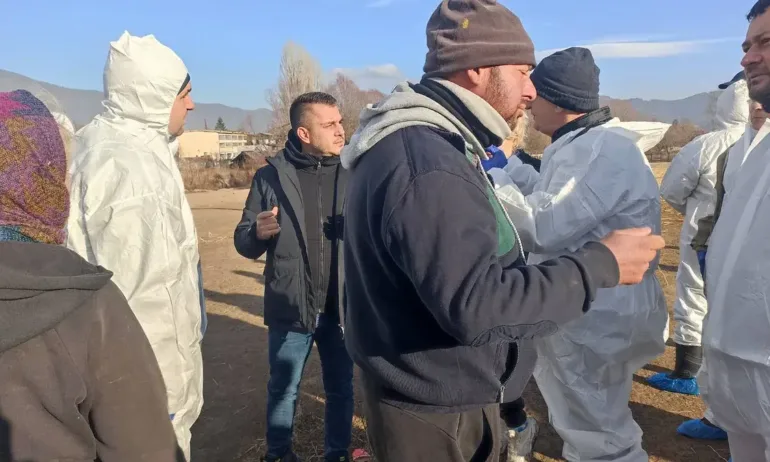 БАБХ за овцете край Велинград: Животните показват изразена клинична картина на чума - Tribune.bg