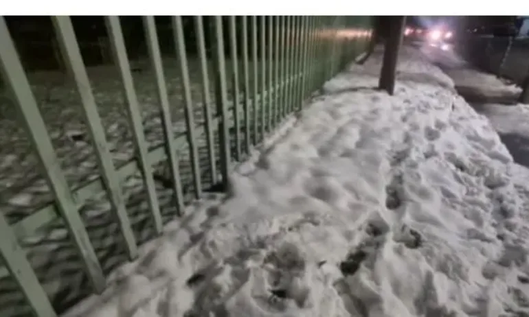 Потрошени китки и глезени в заледена София - Tribune.bg