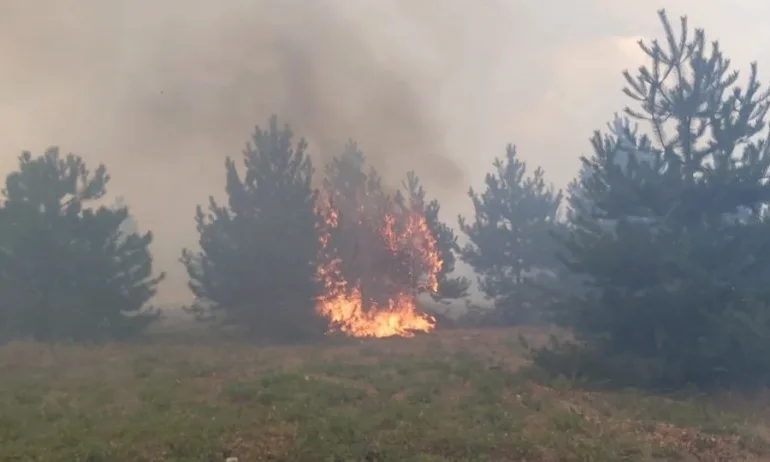 Пожарът край Свиленград върви към границата - Tribune.bg