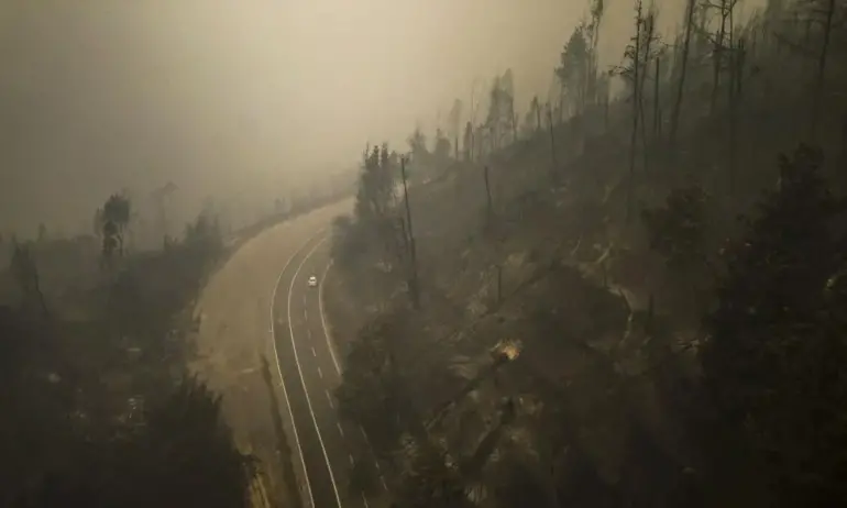 112 станаха жертвите на огнения ад в Чили. Обявен е тридневен траур - (ВИДЕО) - Tribune.bg