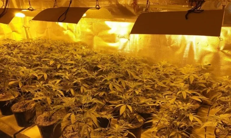 Разбиха модерна наколаборатория, укрита в къща в град Шипка - Tribune.bg