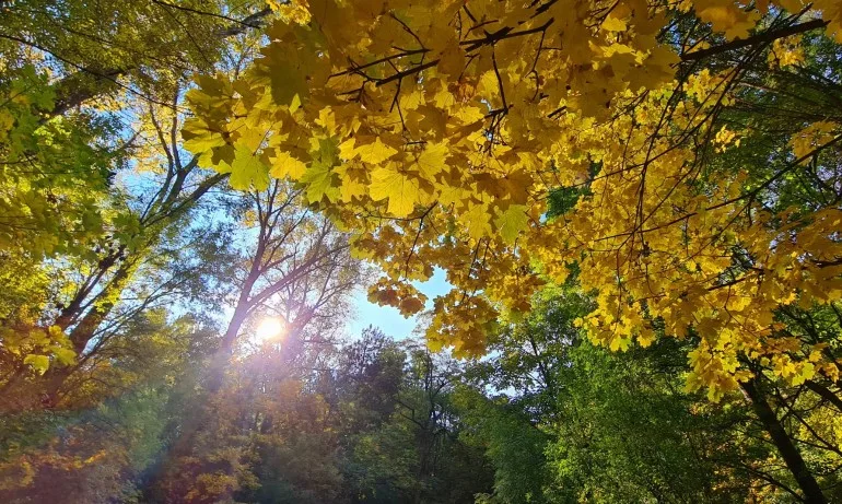 Приятно есенно време и през уикенда, температурите ще са предимно между 16 и 21 градуса - Tribune.bg