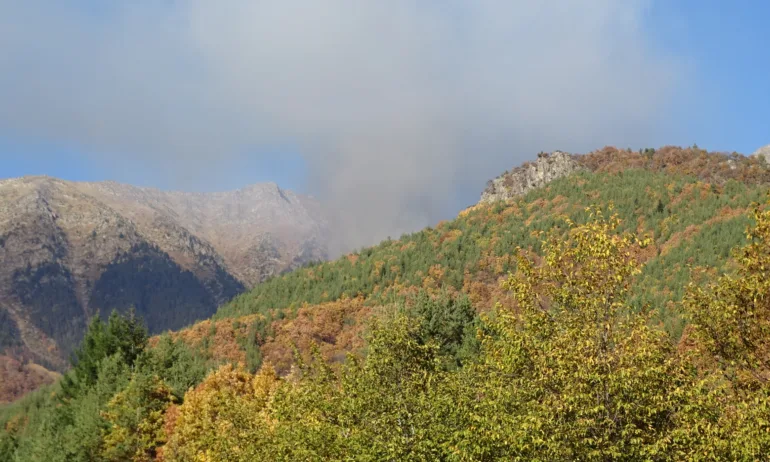 Дрон установява щетите от пожара в Рила - Tribune.bg