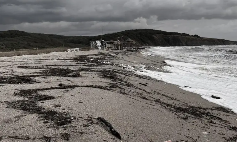 Здравните власти предупреждават да не се влиза в морето около Царево - Tribune.bg