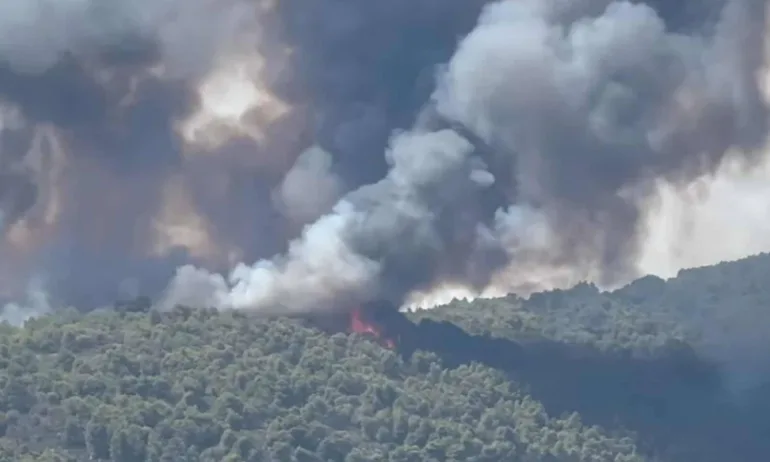 Голям пожар край Вурвуру: Евакуация в посока Никити, огънят обхвана борова гора (ВИДЕО/СНИМКИ/ОБНОВЕНА) - Tribune.bg