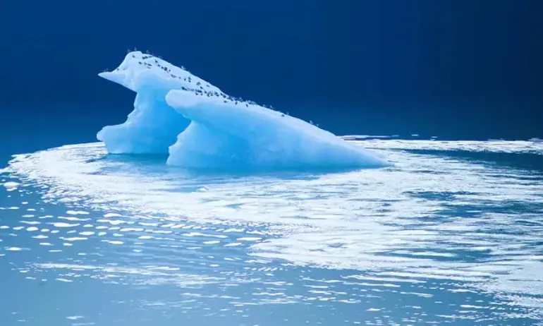 В движение е най-големият айсберг в света - Tribune.bg