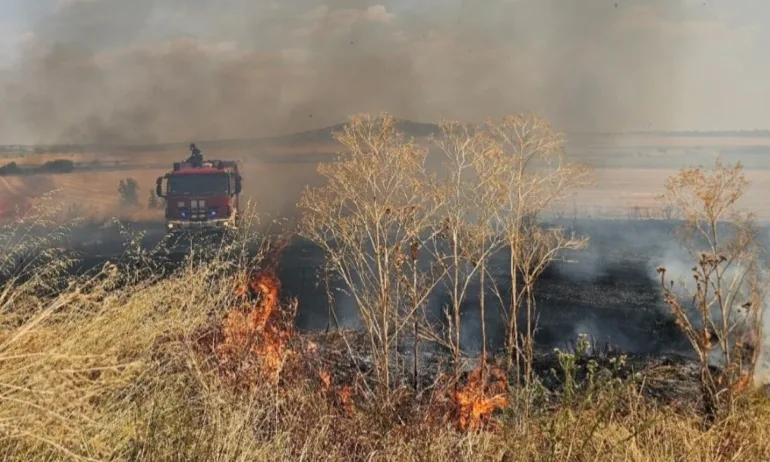 Общо 144 пожара са погасени през изминалото денонощие - Tribune.bg