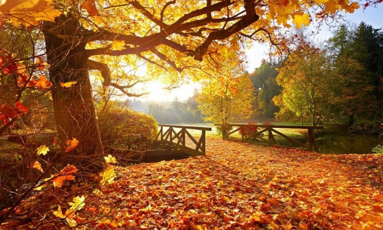 Очаква ни слънчев ден с температури до 14 градуса - Tribune.bg