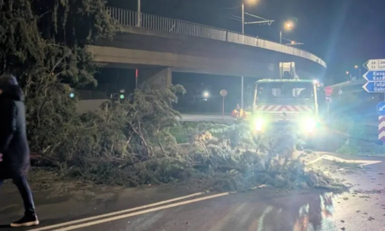 Бурният вятър спря тока в села около Стара Загора, причини щети в Пловдив и Пазарджик - Tribune.bg