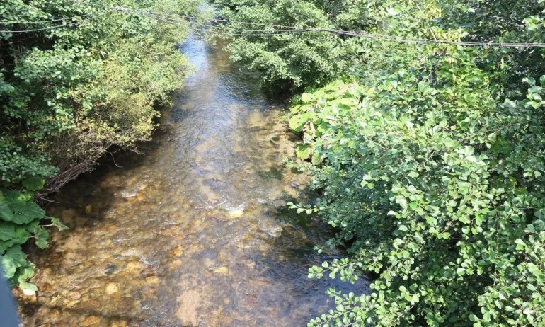 Видовден дойде! - Tribune.bg