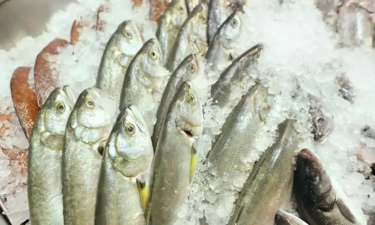 Храните поскъпнаха до 19-месечен връх, цените ще продължават да растат - Tribune.bg