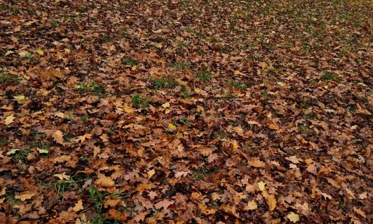 Времето днес: Облачно и с по-ниски температури - Tribune.bg