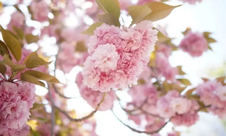 Топло време днес, но нахлува студен въздух и започват валежи - Tribune.bg