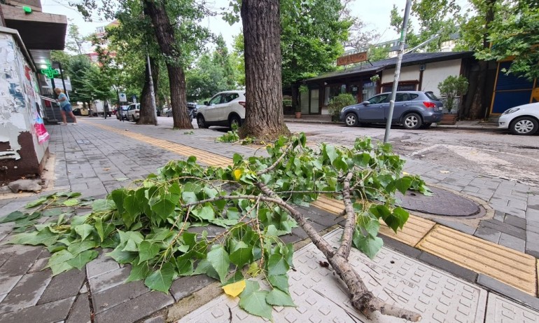 Бурният вятър изпочупи дървета и вдигна покриви в София - Tribune.bg