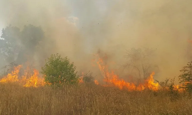 Заради горящи треви - спряха движението по пътя за Гърция - Tribune.bg