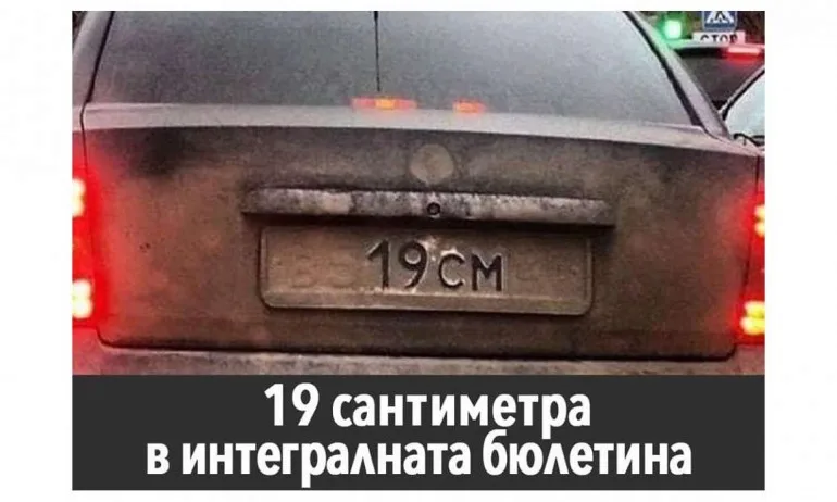 Глас народен се рекламират в сантиметри, ДБ – с котки - Tribune.bg