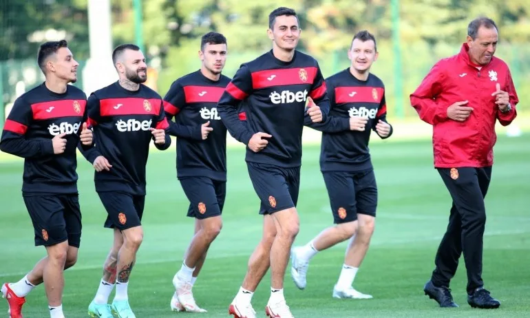 Лъвовете ще експериментират срещу Грузия - Tribune.bg