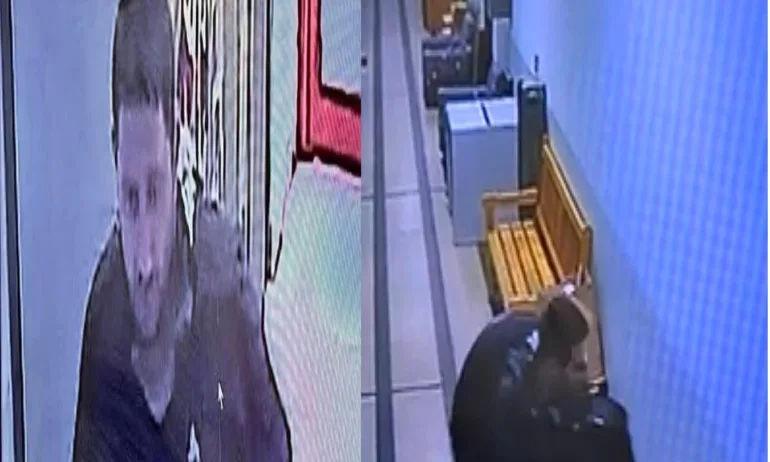 Ограбиха студиото на ансамбъл Чинари в София - Tribune.bg