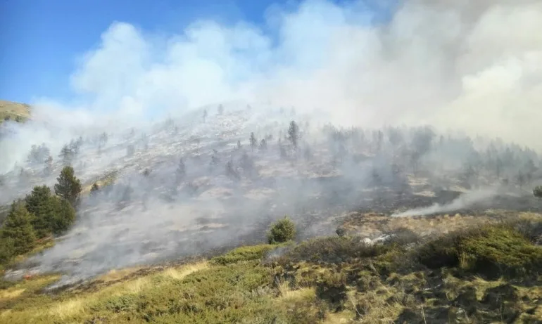 Горският пожар в Сакар планина е овладян, виновен за палежа е земеделец - Tribune.bg