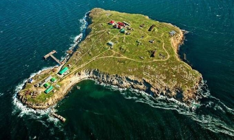 Украинските граничари от Змийския остров са живи, пленници са на Русия - Tribune.bg