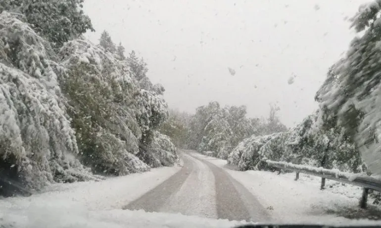 Сняг вали по високите части на Родопите, шофьорите да се движат с повишено внимание - Tribune.bg
