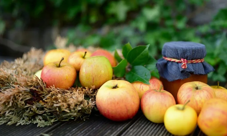 Разтоварващи дни с компот - Tribune.bg