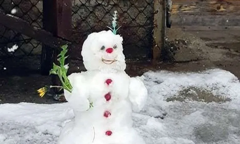 Юли – юлският снежен човек от Мусала - Tribune.bg