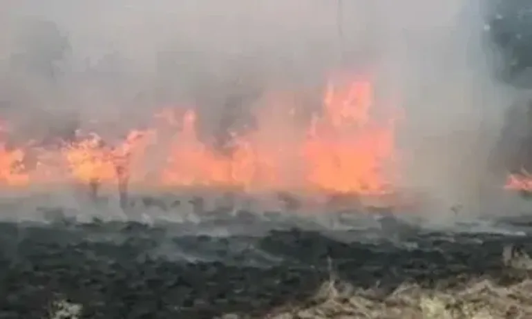 Пожарът в Пазарджишко: Два хеликоптера се включват в гасенето - Tribune.bg