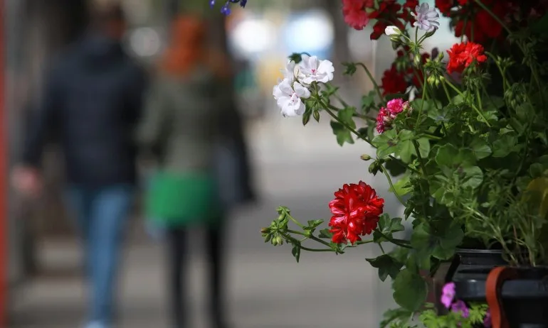 Слънчева сряда, температури до 25 градуса - Tribune.bg