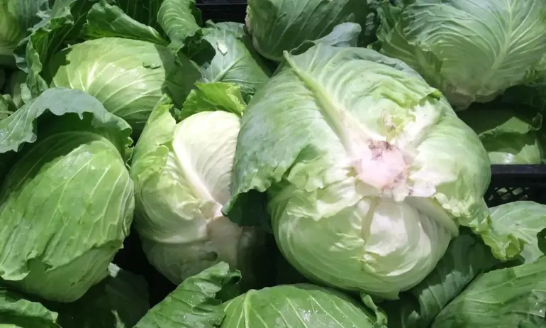 Харизанов за опозицията: Чеп за зеле е положението… - Tribune.bg