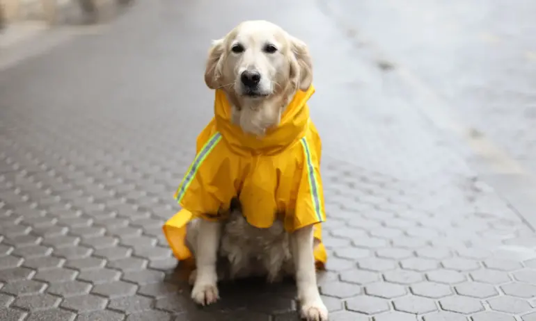 До 23 градуса в неделния ден - Tribune.bg