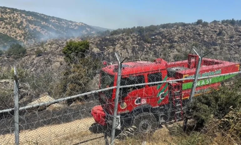 Два големи пожара бушуват в Ямболско, Турция се включи в гасенето - Tribune.bg