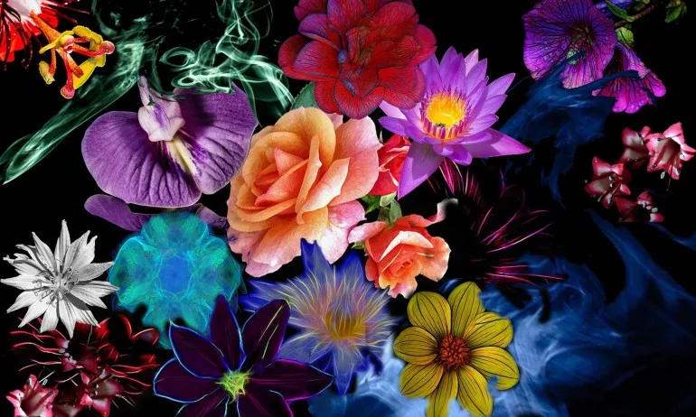 Цветен хороскоп по датата на раждане - Tribune.bg