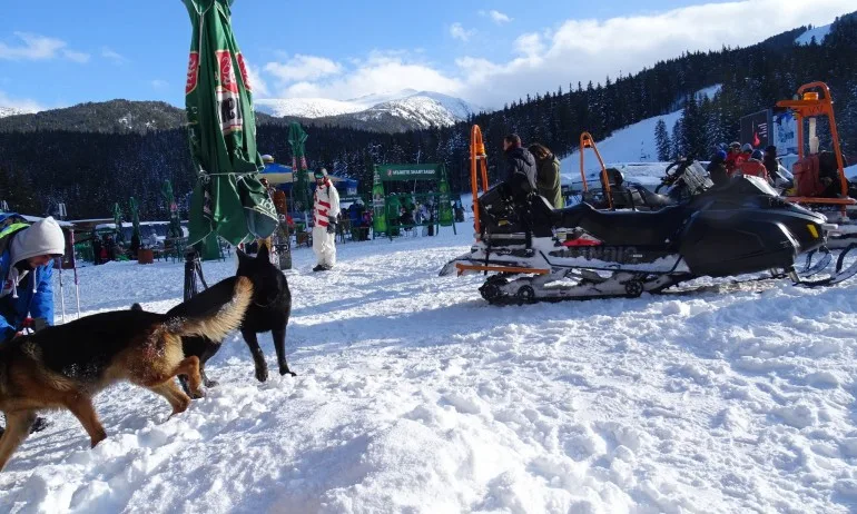 Опасност от лавини в Пирин и Родопите - Tribune.bg