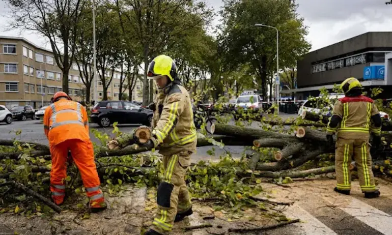 Бурята Кириан нанесе 100 млн. евро разходи за застрахователите в Белгия - Tribune.bg