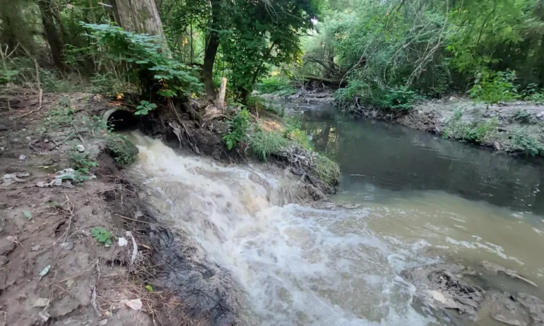 Екокатастрофа във Въртопо? Аварията на Цариградско излива канализацията в парка между Младост и Мусагеница (СНИМКИ) - Tribune.bg