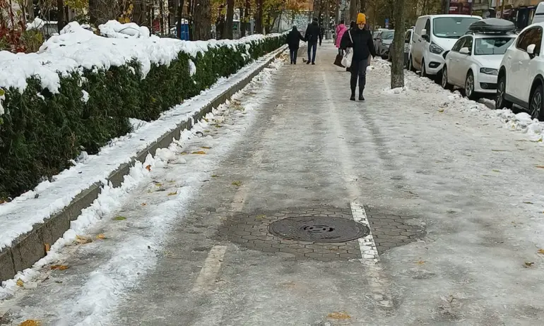 Директорът на Столичния инспекторат се оплака: Служителите са малко, наложени са санкции на снегопочистващите фирми - Tribune.bg