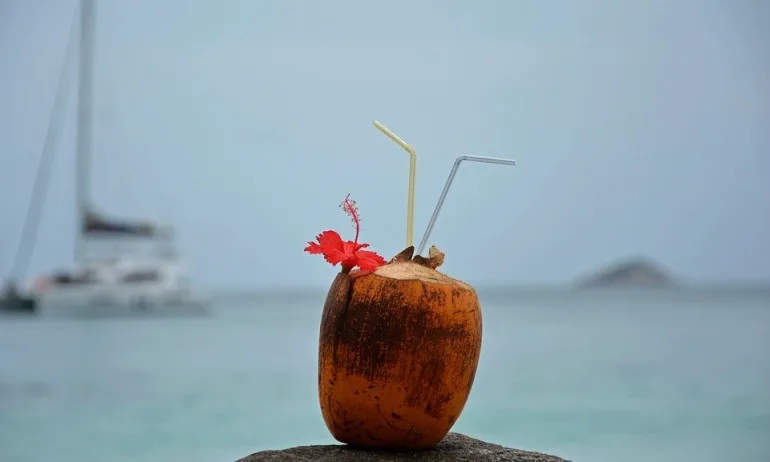 Прокуратурата иска: Нова присъда за ЧСИ, свил 321 109 лв. и ходил по екскурзии - Tribune.bg