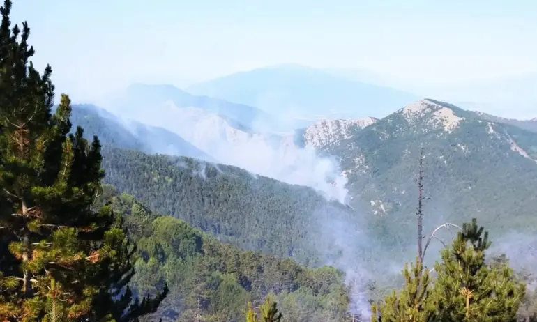 Около 30-40 метра е навлязъл пожарът от Гърция на българска територия (ВИДЕО)