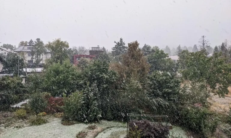 Боян Рашев: Аре, изтрезнявайте, другарки и другари, самопровъзгласени спасители... - Tribune.bg