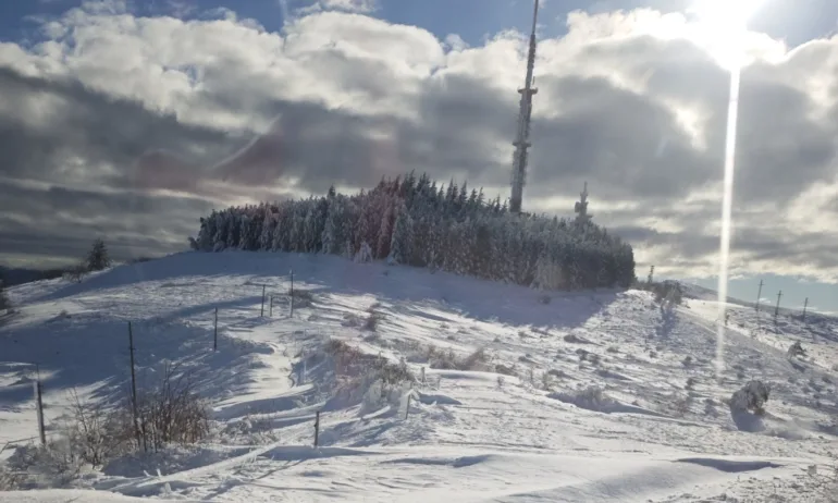 На територията, обслужвана от ЕРМ Запад, няма населени места без електрозахранване - Tribune.bg