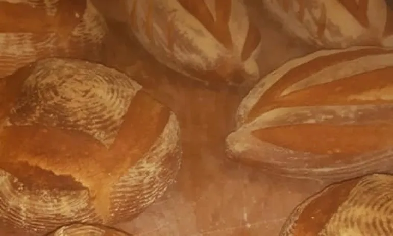 Инициатива: Даряват хляб за всяка изхвърлена храна от протестиращите - Tribune.bg