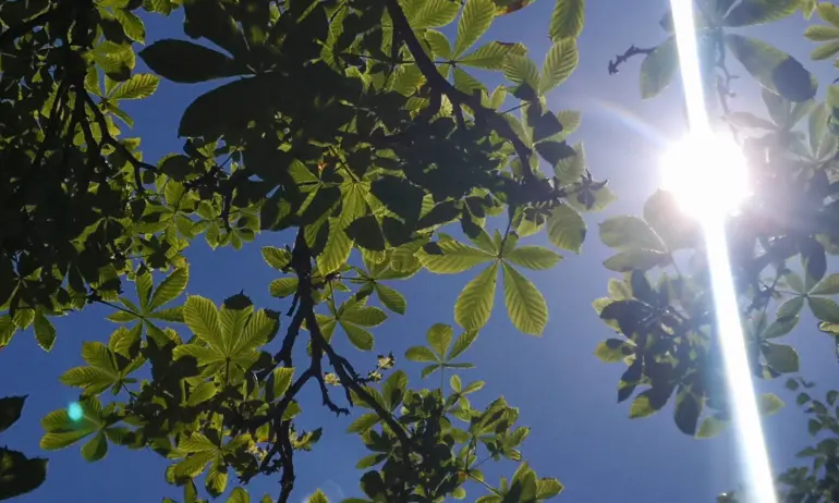 Октомври започва със слънце - Tribune.bg