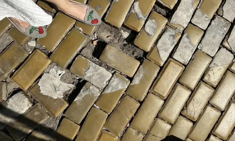 Предозиране: Бориславова пусна снимка с павета и обяви, че атаката срещу Терзиев е добър знак - Tribune.bg